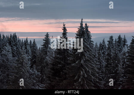 Beautiful view of a mountain forest at sunset in winter Stock Photo