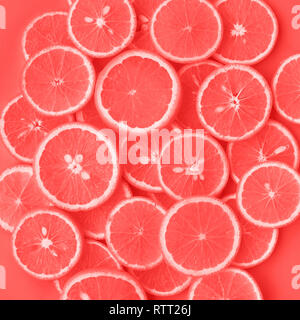 Living Coral color of year 2019  with group of orange slice.fruit and summer concept idea.flat lay design