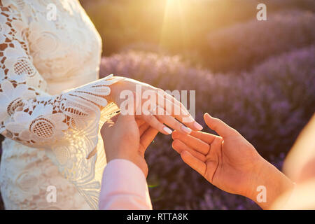 Marriage proposal in a field of lavender. Stock Photo