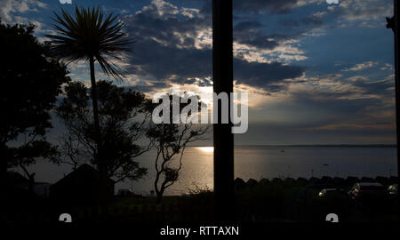 sunset, silhouette, palm,tree, huts, Gurnard, Isle of Wight, England, UK, Stock Photo