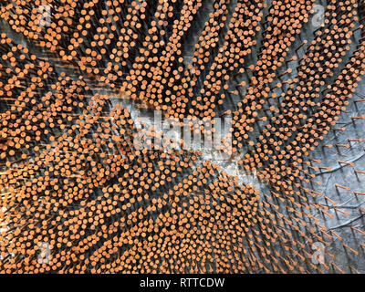 Rusted Nails Inserted On Board Stock Photo