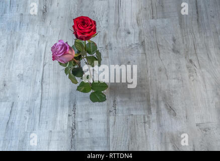 Flatbed shot of two blooming roses on a grey wooden background.  Graphic resource shot with space all around the central roses. Stock Photo