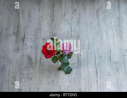 Flatbed shot of two blooming roses on a grey wooden background.  Graphic resource shot with space all around the central roses. Stock Photo