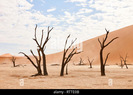 Dead old trees in Namib desert at deadvlei Stock Photo