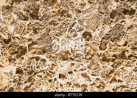 Rustic stone surface texture Stock Photo