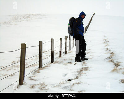 Lone Male Hiker Standing in Snow next to Fence on Route to the Scottish Mountain Corbett Hart Fell, Moffat Dale, Scottish Borders, Scotland, UK Stock Photo