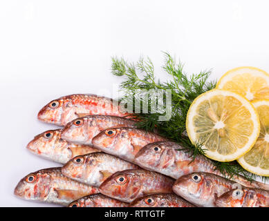 Red mullet on white background Stock Photo