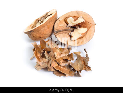 Partitioning of walnut isolated on white background Stock Photo
