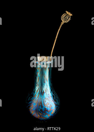 Single dried Poppy seed head in a small blue green patterned glass vase isolated against black background. Stock Photo