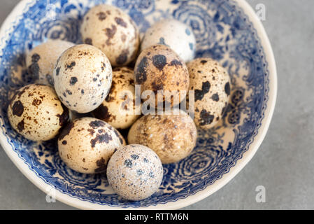 Fresh organic quail eggs, a delicacy in many parts of the world. Stock Photo