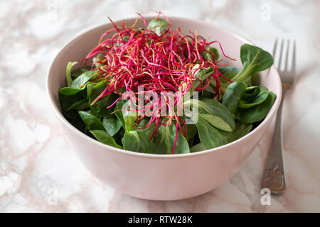 Salad with lamb's lettuce and fresh red beet sprouts Stock Photo