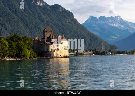 a pair of swans; autumn; beach; beautiful; blue; castle; chillon castle; clear; dawn; europe; fabulous; fall; fortification; geneva; golden; heritage; Stock Photo