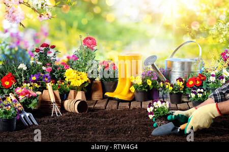 Gardening - Equipment For Gardener And Flower Pots In Sunny Garden Stock Photo