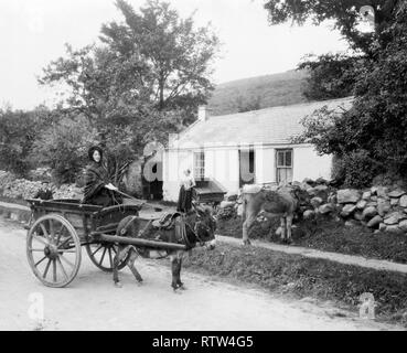 traditional irish stone cottage with slate roof with woman driving donkey and cart in rural ireland circa 1907  Image updated using digital restoration and retouching techniques Stock Photo