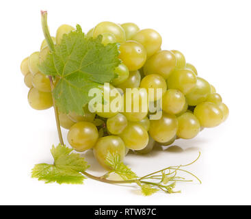 bunch of green grapes with leaf isolated on white background Stock Photo