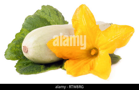 zucchini with flower and leaf isolated on white background Stock Photo