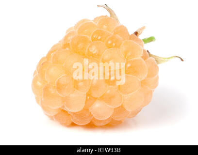 one yellow raspberries isolated on white background macro Stock Photo
