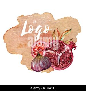 Cute colorful floral pomegranate set on watercolor splash for logo, fabric, textile, texture, wrapping paper, wallpaper, cards, web design. Hand drawn Stock Photo