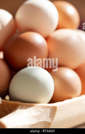 Plain multicoloured free range eggs in natural daylight on woode plate. Close up composition Stock Photo