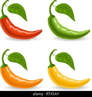 Set with multicolor peppers isolated on white background. Vector illustration Stock Vector