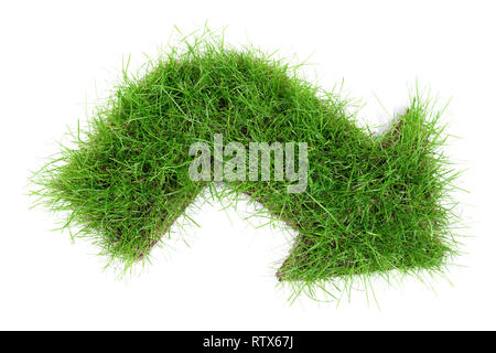 Grass Arrow Pointer Stock Photo