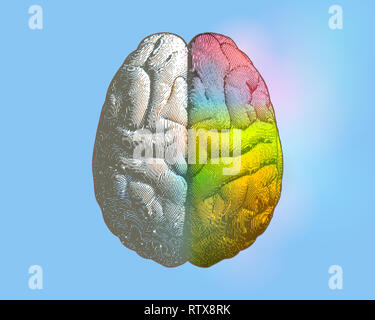 Creative concept of Left and right brain illustration with colorful on right side isolated on light blue background Stock Photo