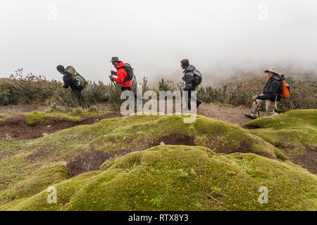 Rucu Pichincha, Quito, Ecuador, July 2018: A group of Montanistas walk in a row along the paths of Ruco Pichincha a weekend like any other Stock Photo