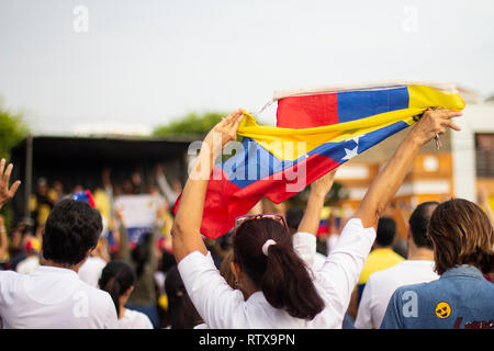 Lima, Peru - February 2 2019: Woman vigorously holding Venezuelan flag at protest against Nicolas Maduro in support of Juan Guaido Stock Photo