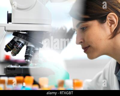 Scientists viewing a medical sample on a glass slide under a microscope in the laboratory. Stock Photo