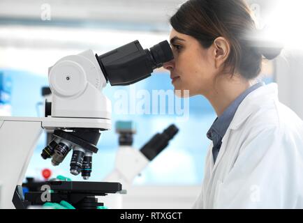 Scientist examining specimens under a microscope during a clinical trial in the laboratory. Stock Photo