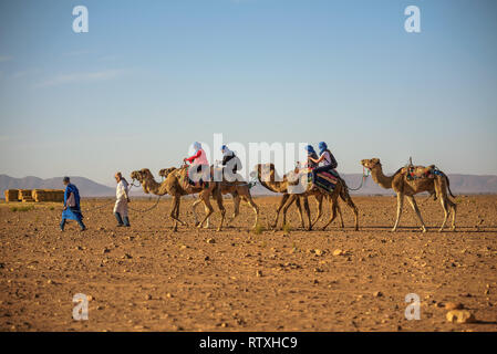 Camel caravan with tourists going through the Sahara Desert Stock Photo