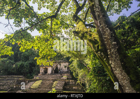 Templo de la cruz foliada, Palenque, Mexico Stock Photo