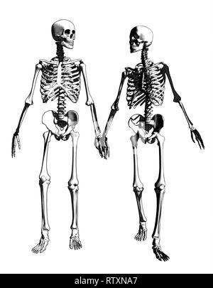 A couple of engraving skeleton in holding hand action illustration ...