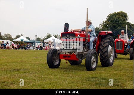 MASSEY FERGUSON 135 Stock Photo