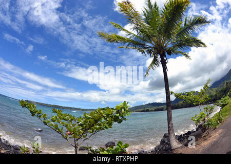 View of Wainiha Bay, Kauai, Hawaii, USA Stock Photo