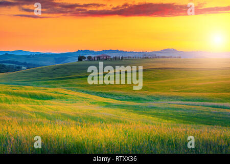 Magical travel destination in Tuscany. Fantastic summer landscape with grain fields at sunset, near Pienza touristic village, Italy, Europe Stock Photo