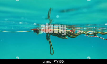 Underwater photo - red buoy and tangled ropes near sea surface. Abstract marine background. Stock Photo
