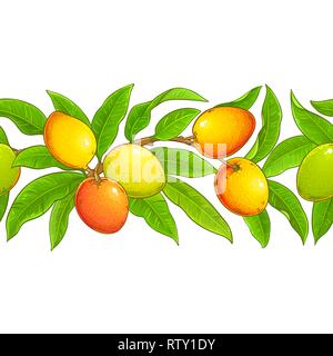 mango vector pattern on white background Stock Vector