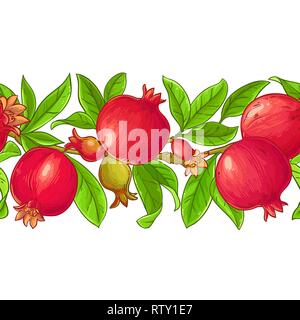 pomegranate vector pattern on white background Stock Vector