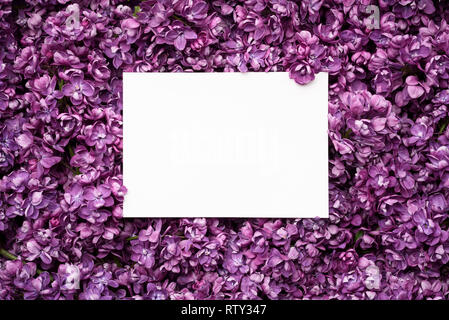 Bordr of purple lilac flowers and white frame for text and invitation. Top  view Stock Photo - Alamy