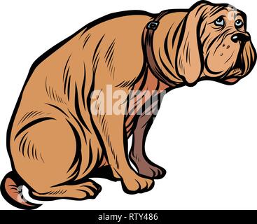 guilty dog, funny pet. Pop art retro vector illustration vintage kitsch Stock Vector