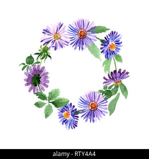 purple aster flower drawing