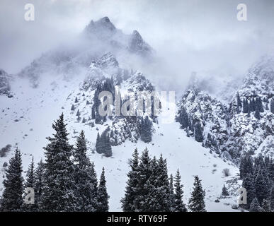 High mountains with snow and pine tree on peaks at winter time