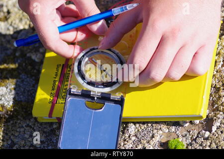 Geologist measures Strike Azimuth and Bed Dip with a Compass Clinometer on the Shore by St Andrew's, Fife, Scotland, UK. Stock Photo