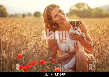 Young woman holds Jack Russell terrier puppy on her hands, red poppies in foreground, sunset lit wheat field behind. Stock Photo