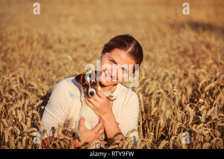 Young brunette woman holding Jack Russell terrier puppy on her hands, smiling, sunset lit wheat field behind her. Stock Photo