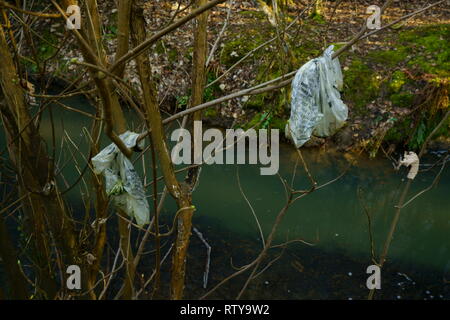 https://l450v.alamy.com/450v/rty9w2/plastic-bags-litter-hanging-in-tree-branches-on-the-banks-of-the-river-ouse-in-sussex-rty9w2.jpg