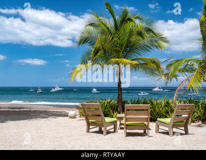 Under a blue sky, puffy white clouds by the Pacific Ocean, including plenty of copy space, three wooden lounge chairs sit on a beac under a palm tree. Stock Photo