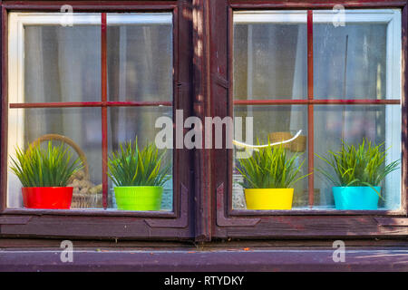 Sunlit old wooden window. Four colored yellow, red, green, blue pots with plants behind the dirty glass. Stock Photo