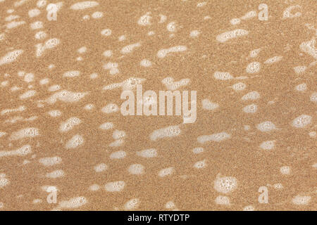 Small patches of white foam on beach sand wet from ocean water. Abstract sea / marine background. Stock Photo